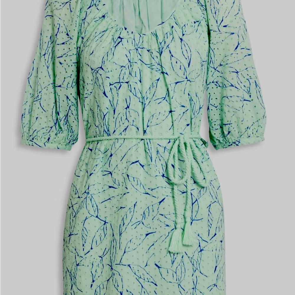 Joie Light Green and Blue Leaf Print Long Sleeve Dress